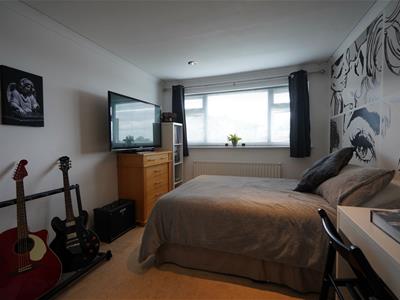Picture 12
